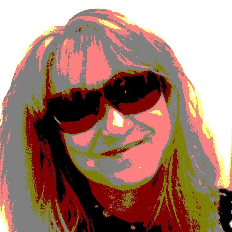 A profile photograph of Jeannette Duguay, who is an OSINT Investigator
https://www.linkedin.com/in/jeannette/